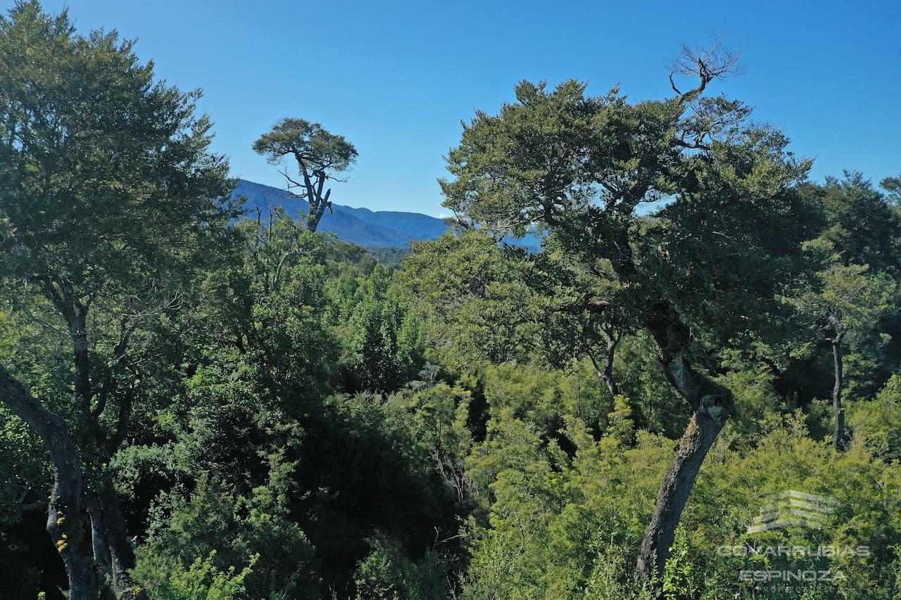 VENTA DE PARCELA 2 HECTAREAS EN FUNDO CHEÑUE