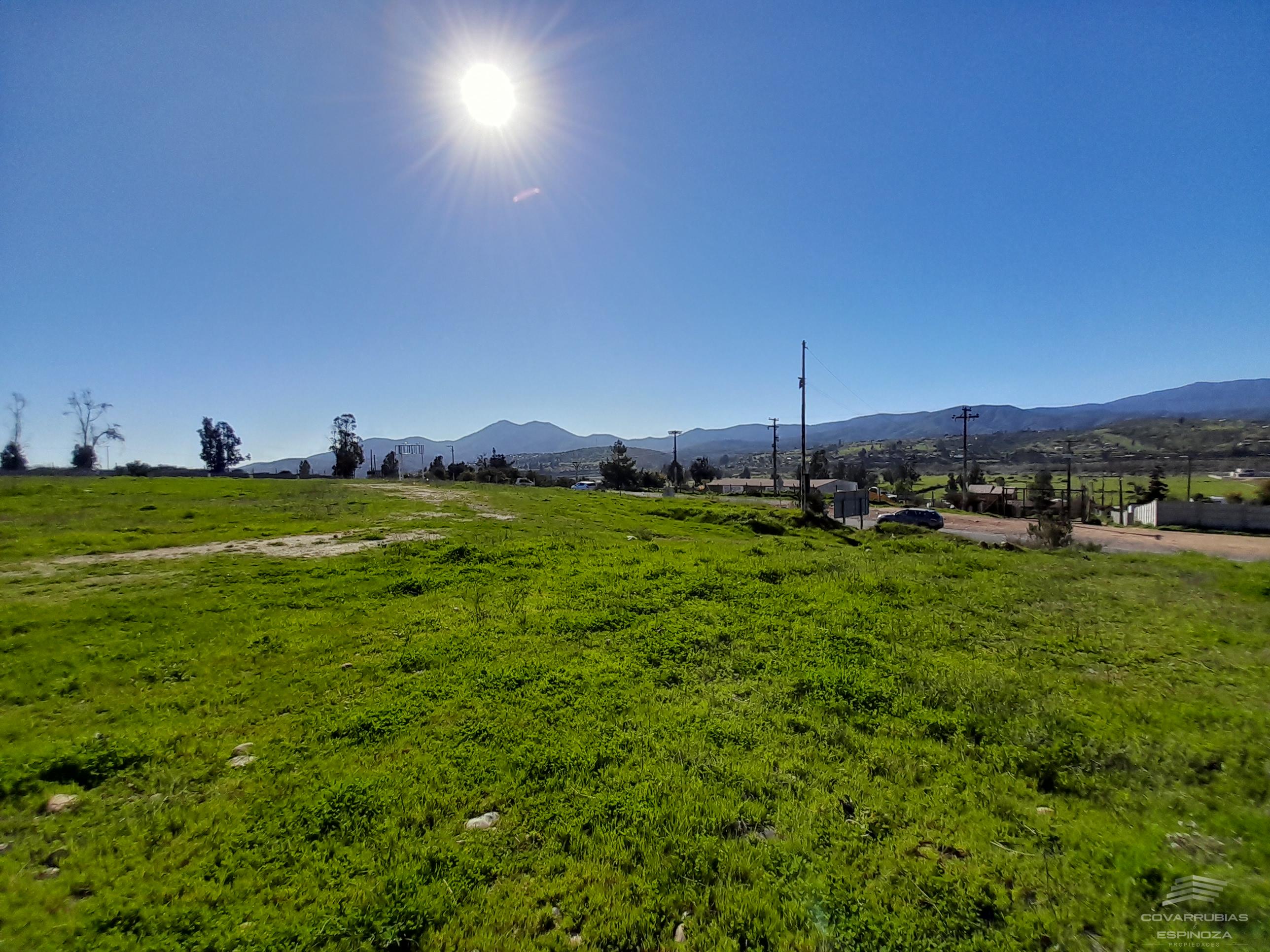 TERRENO PLANO TABOLANGO 8.000 M2